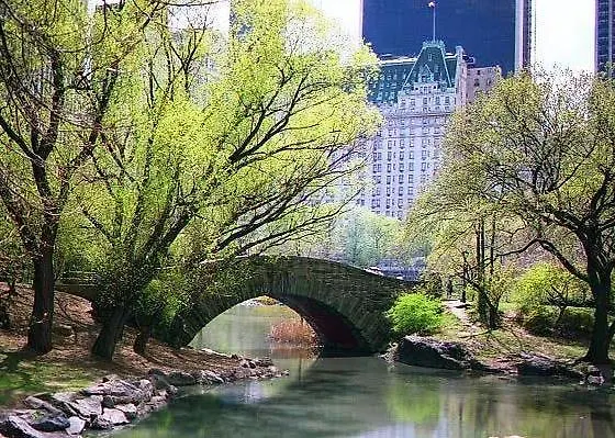 Hotel The Westin New York Grand Central